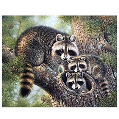 Best Deal for 5D Diamond Painting Raccoon,Diamond Painting Kits for