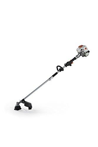 Algopix Similar Product 13 - 