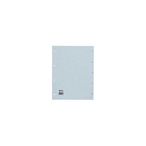 Algopix Similar Product 3 - Rexel Number Index Polypropylene Film