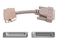 Algopix Similar Product 6 - Belkin 6in SCSI Adapter Microdb50f/db25m