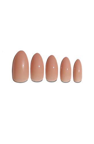Algopix Similar Product 9 - Static Nails Reusable Popon Manicure