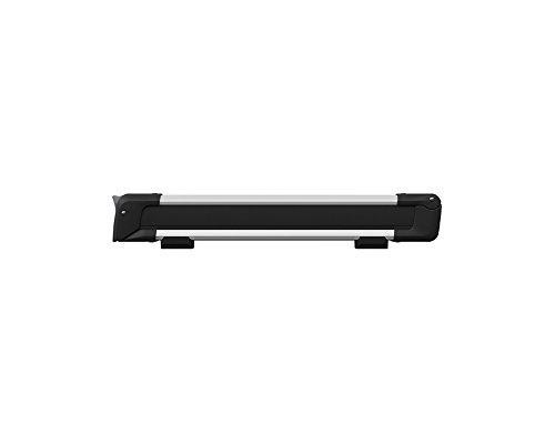 Algopix Similar Product 9 - Thule SnowPack Roof Mounted