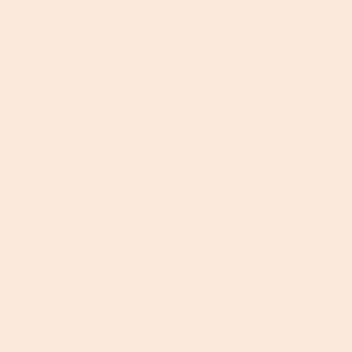 Algopix Similar Product 2 - Ceramifix 5 oz Peach Touch Paint for