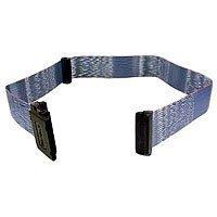 Algopix Similar Product 5 - Belkin 32IN INT SCSI Ribbon WTerm