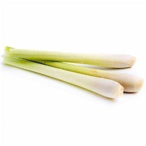 Algopix Similar Product 18 - JACOBS FARM Organic Lemongrass, 2 OZ