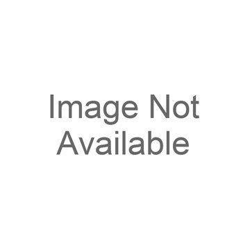 Algopix Similar Product 3 - Hammond 1421TS250BK