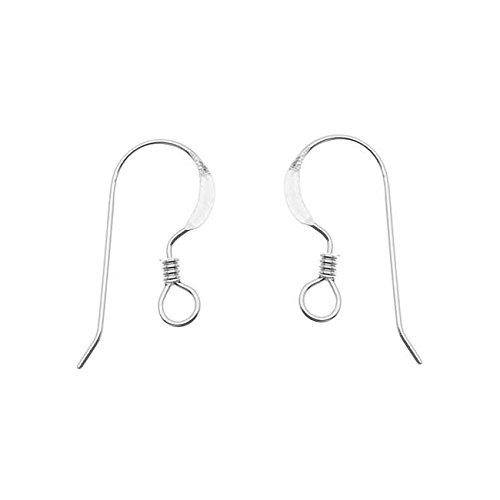 Algopix Similar Product 15 - Beadaholique Earring Hooks French Wire
