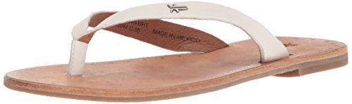 Algopix Similar Product 19 - 