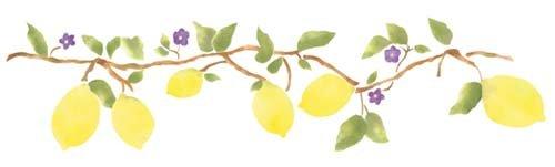 Algopix Similar Product 5 - Designer Stencils Lemon Branch Wall