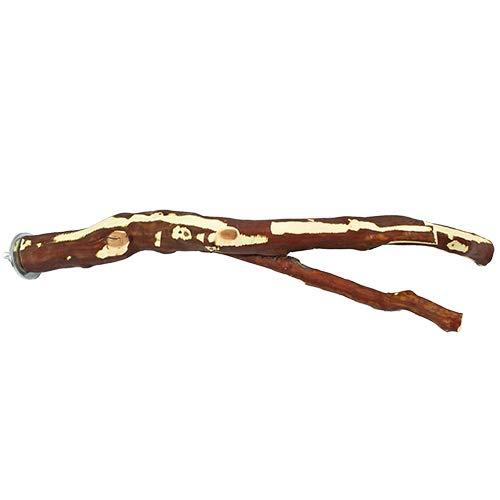 Algopix Similar Product 7 - Exotic Nutrition Manzanita Branch Thin