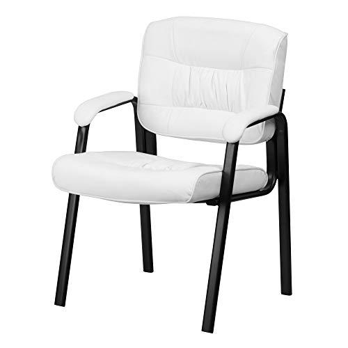 Algopix Similar Product 15 - Delacora BT1404WHGG 24 Inch Wide