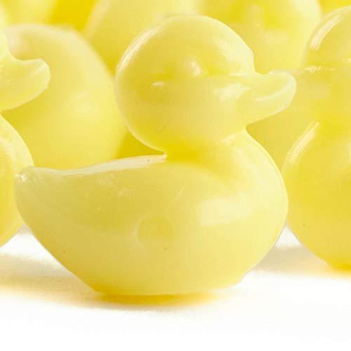 Algopix Similar Product 10 - Factory Direct Craft Bulk Micro Mini