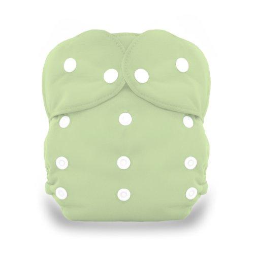Algopix Similar Product 19 - Thirsties Duo All In One Snap Diaper