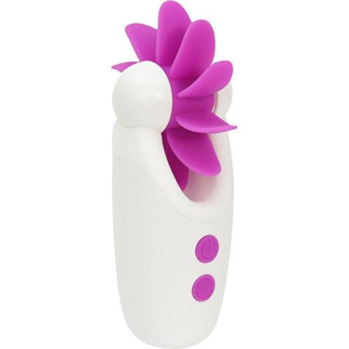 Algopix Similar Product 2 - 