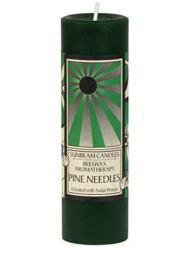 Algopix Similar Product 20 - Sunbeam Candles Beeswax Pine Needles