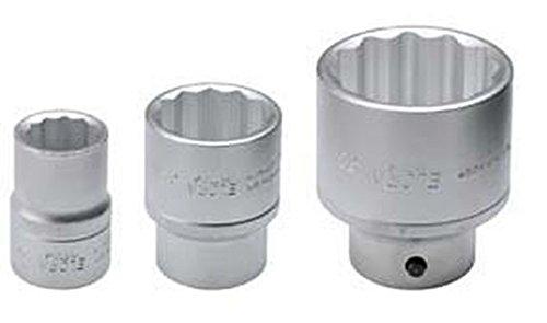 Algopix Similar Product 5 - Elora 770210232000770Sw 12Ww 34
