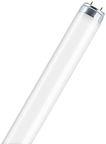 Algopix Similar Product 14 - Osram 446165  L 10W827 Straight T8