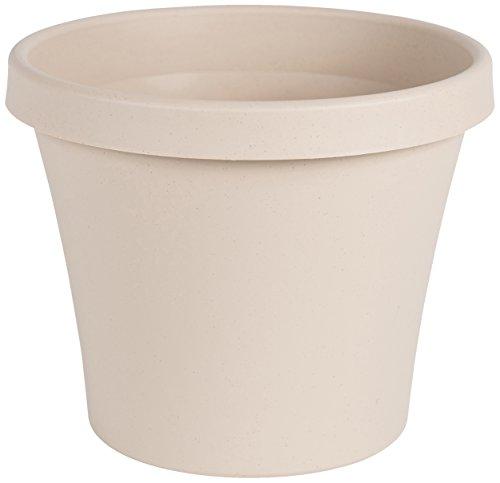 Algopix Similar Product 1 - Bloem Terra Pot Planter 8" Taupe
