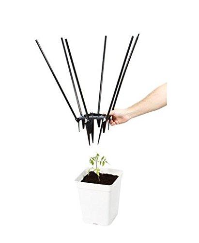 Algopix Similar Product 12 - Global Garden Friends Ultimate Plant