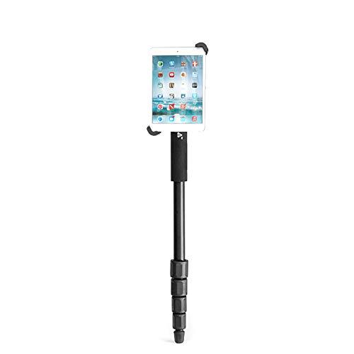 Algopix Similar Product 11 - GRIFITI Nootle Standard to Large Size