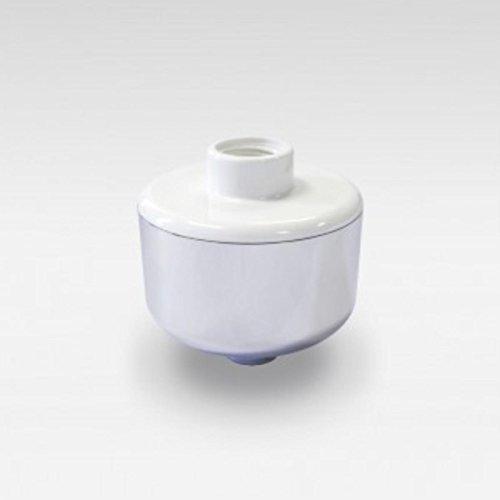 Algopix Similar Product 7 - Austin Springs ASSHR Shower