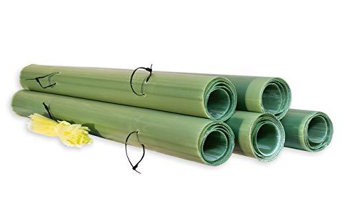 Algopix Similar Product 8 - Tubex 4 Tree Shelter, 25 pack