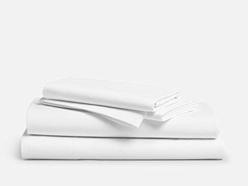 Algopix Similar Product 16 - 
