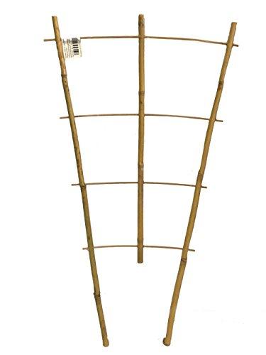 Algopix Similar Product 10 - MGP Bamboo Ladder Trellis