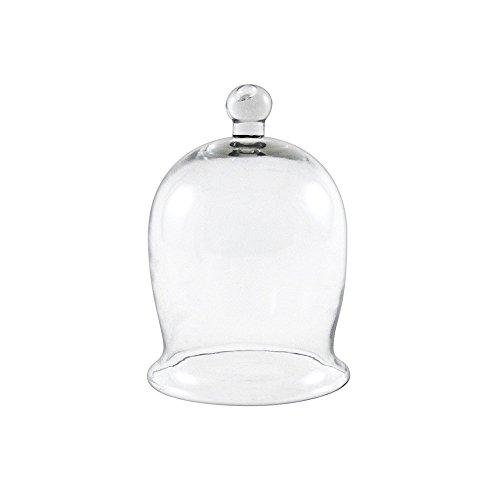Algopix Similar Product 15 - Achla Designs Miniature Bell Jar I