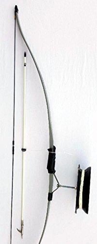 Algopix Similar Product 11 - Starter Bowfishing Set Complete With