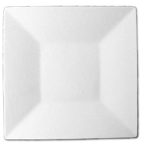 Algopix Similar Product 12 - Gently Sloping Small Square Plate 