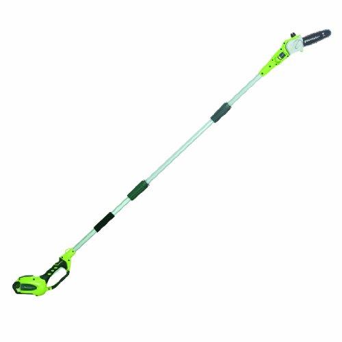 Algopix Similar Product 17 - Greenworks 8.5' 40V Cordless Pole Saw