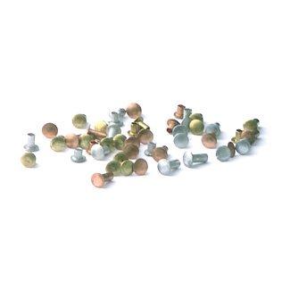 Algopix Similar Product 16 - 116 Diameter Rivet Sample Pack 