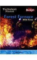 Algopix Similar Product 20 - Forest Furnace Wildfires Turbulent