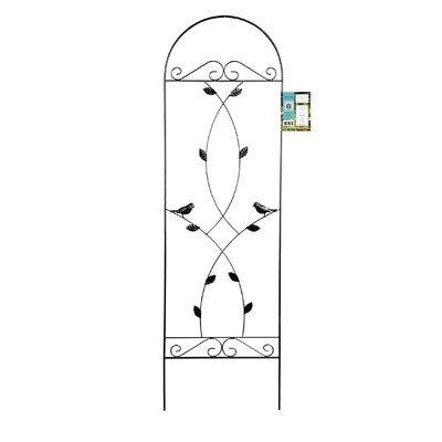 Algopix Similar Product 19 - Aurora Trellis Size: 6'