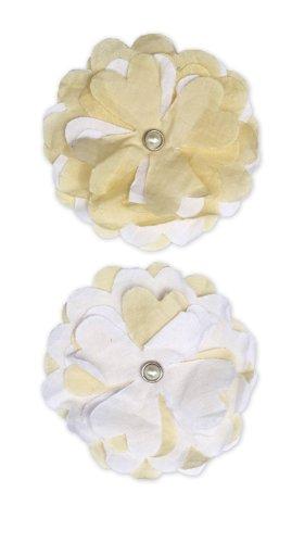 Algopix Similar Product 8 - Bella Blvd Blooms A Bella Bianca
