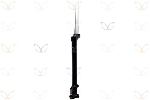Algopix Similar Product 20 - 