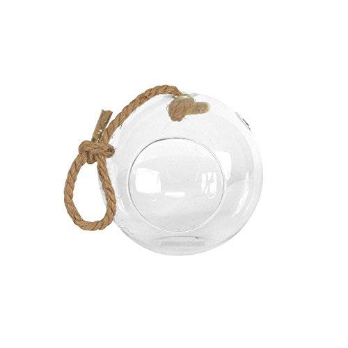 Algopix Similar Product 1 - Arcadia Garden Products Sphere 5 in x