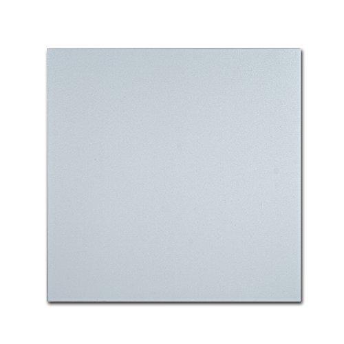 Algopix Similar Product 17 - Trademark Fine Art Professional Blank