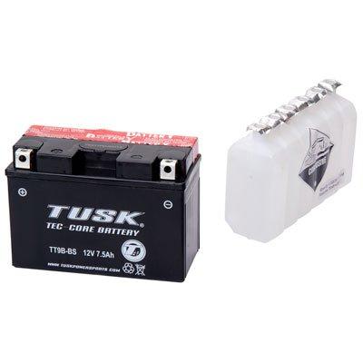 Algopix Similar Product 7 - Tusk TecCore Battery with Acid TT9BBS