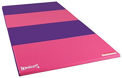 Algopix Similar Product 14 - Norberts Athletic Products Gymnastics