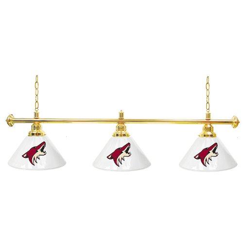 Algopix Similar Product 5 - NHL Phoenix Coyotes 60Inch ThreeShade