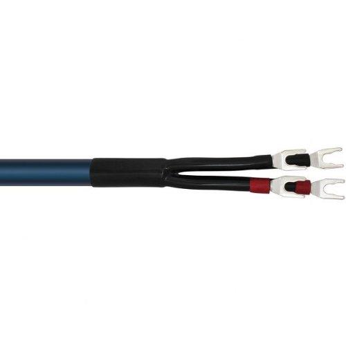 Algopix Similar Product 3 - WIREWORLD Oasis 7 Speaker Cable 