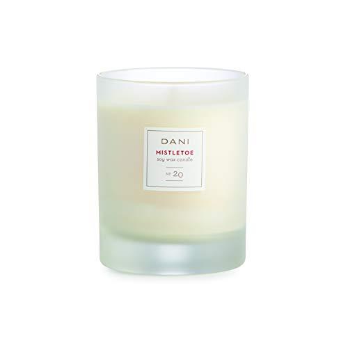 Algopix Similar Product 20 - DANI Naturals Scented Soy Candle 