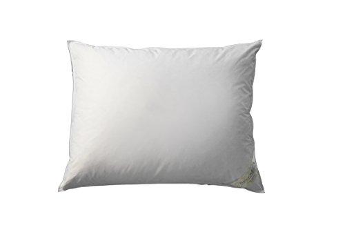 Algopix Similar Product 11 - Pandora de Balthazar European Luxury