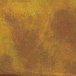 Algopix Similar Product 6 - Lastolite LL LB7743 Background Leopard