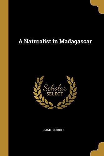 Algopix Similar Product 3 - A Naturalist in Madagascar