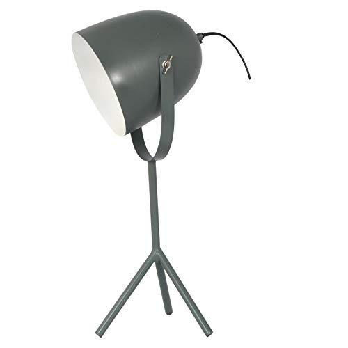Algopix Similar Product 5 - 