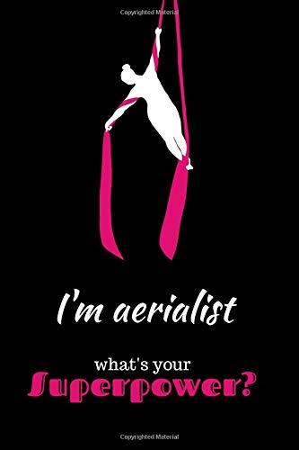 Algopix Similar Product 6 - Im Aerialist Whats Your Superpower