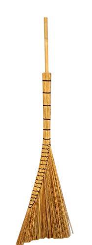 Algopix Similar Product 18 - Master Garden Products Tiki Coconut